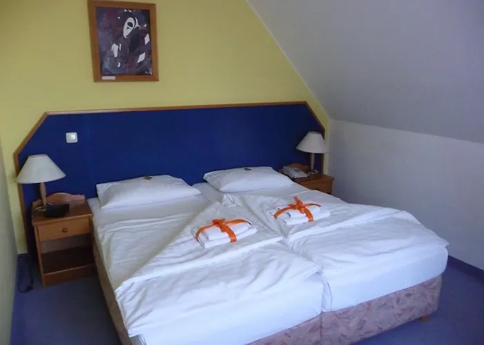 Hotel Mecklenburger Mühle Garni